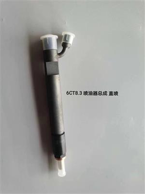 6CT8.3喷油器